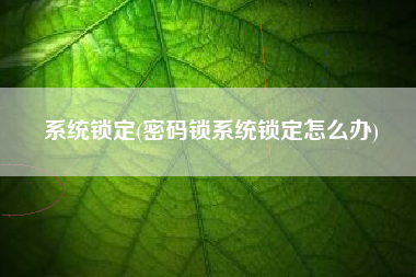 系统锁定(密码锁系统锁定怎么办)