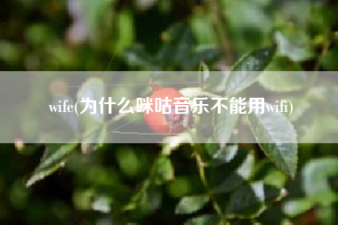 wife(为什么咪咕音乐不能用wifi)