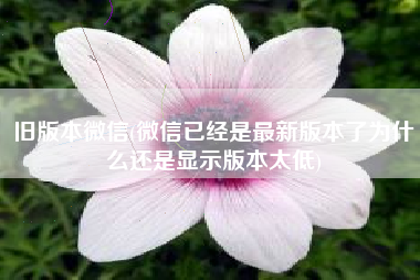 旧版本微信(微信已经是最新版本了为什么还是显示版本太低)
