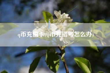 q币充值卡(Q币充错号怎么办)