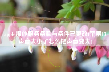 apple媒体服务条款与条件已更改(苹果13声音太小了怎么把声音变大)