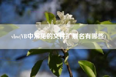 vbw(VB中常见的文件扩展名有哪些)