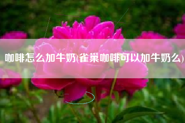 咖啡怎么加牛奶(雀巢咖啡可以加牛奶么)