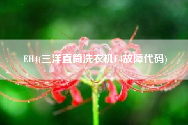 EH4(三洋直筒洗衣机E4故障代码)