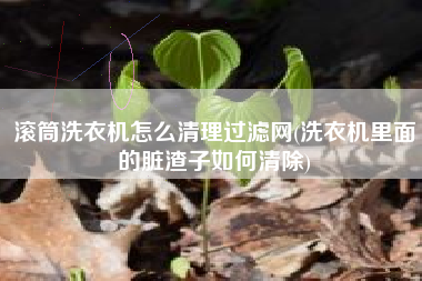 滚筒洗衣机怎么清理过滤网(洗衣机里面的脏渣子如何清除)