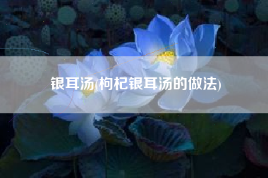 银耳汤(枸杞银耳汤的做法)