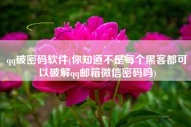 qq破密码软件(你知道不是每个黑客都可以破解qq邮箱微信密码吗)