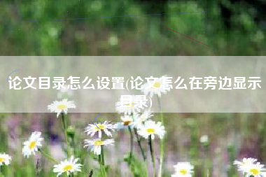 论文目录怎么设置(论文怎么在旁边显示目录)