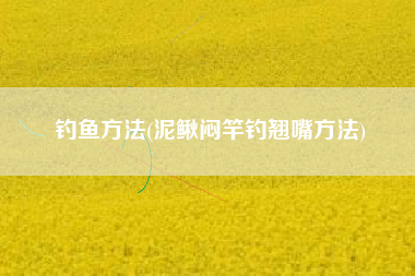 钓鱼方法(泥鳅闷竿钓翘嘴方法)