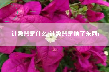 计数器是什么(计数器是啥子东西)