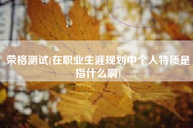 荣格测试(在职业生涯规划中个人特质是指什么啊)