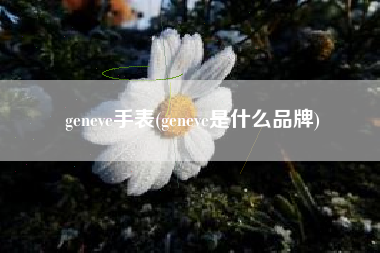 geneve手表(geneve是什么品牌)