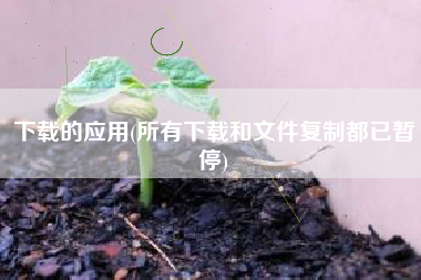 详细阅读:下载的应用(所有下载和文件复制都已暂停) 下载的应用(所有下载和文件复制都已暂停)