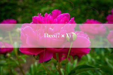 14xxx(7×X)