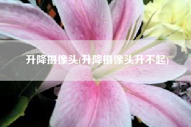 升降摄像头(升降摄像头升不起)