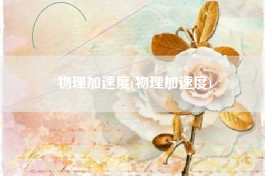 物理加速度(物理加速度)