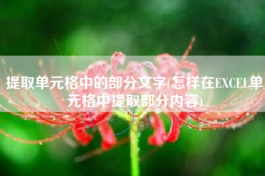 提取单元格中的部分文字(怎样在EXCEL单元格中提取部分内容)