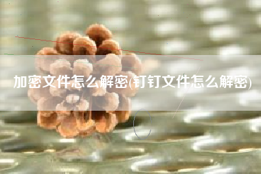 加密文件怎么解密(钉钉文件怎么解密)