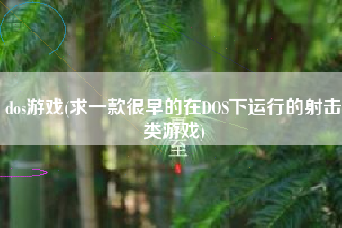 dos游戏(求一款很早的在DOS下运行的射击类游戏)