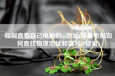 如何查看自己电脑的ip地址(苹果电脑如何查找物理地址和填写IP地址)