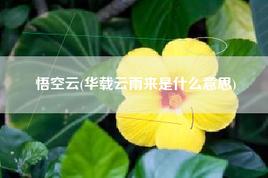 悟空云(华载云雨来是什么意思)