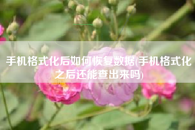 手机格式化后如何恢复数据(手机格式化之后还能查出来吗)