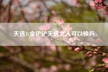 天选1(金铲铲天选之人可以换吗)