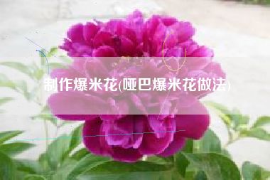 制作爆米花(哑巴爆米花做法)