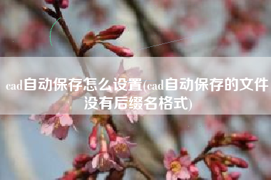 cad自动保存怎么设置(cad自动保存的文件没有后缀名格式)