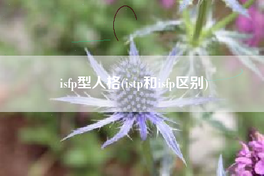 isfp型人格(istp和isfp区别)