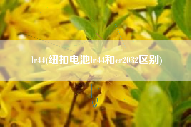 lr44(纽扣电池lr44和cr2032区别)