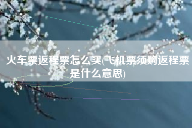 火车票返程票怎么买(飞机票须购返程票是什么意思)