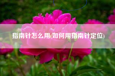 指南针怎么用(如何用指南针定位)