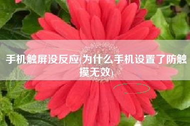 手机触屏没反应(为什么手机设置了防触摸无效)