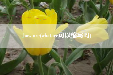 详细阅读:how are(whatare可以缩写吗) how are(whatare可以缩写吗)