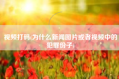 详细阅读:视频打码(为什么新闻图片或者视频中的犯罪份子) 视频打码(为什么新闻图片或者视频中的犯罪份子)