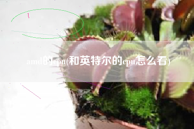 amd的cpu(和英特尔的cpu怎么看)