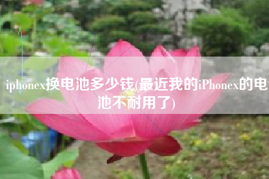 iphonex换电池多少钱(最近我的iPhonex的电池不耐用了)