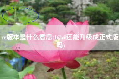 rc版本是什么意思(163rc还能升级成正式版吗)