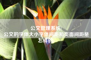 公文管理系统(
公文的字体大小字体间距和页面间距是怎样的) 公文管理系统(
公文的字体大小字体间距和页面间距是怎样的)