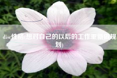 disc性格(想对自己的以后的工作重新做规划)