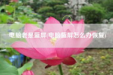 电脑老是蓝屏(电脑蓝屏怎么办恢复)