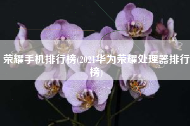 荣耀手机排行榜(2021华为荣耀处理器排行榜)