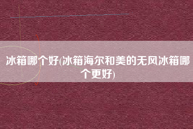 冰箱哪个好(冰箱海尔和美的无风冰箱哪个更好)
