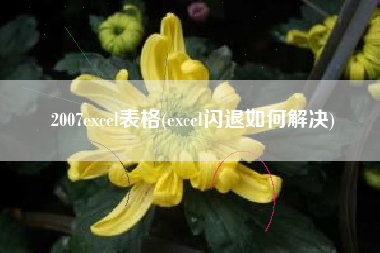 2007excel表格(excel闪退如何解决)