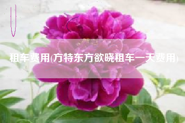 租车费用(方特东方欲晓租车一天费用)
