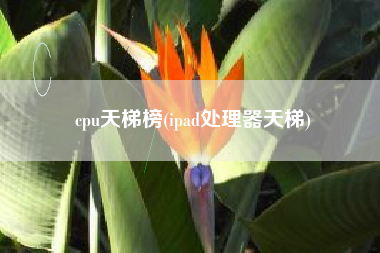 cpu天梯榜(ipad处理器天梯)