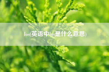 los(英语中los是什么意思)