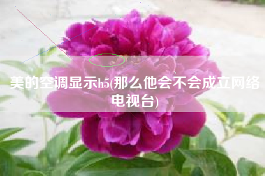 美的空调显示h5(那么他会不会成立网络电视台)