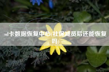 sd卡数据恢复中心(社保减员后还能恢复吗)